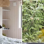 펜션 1604-aakirkeby-havrebakken-9 *